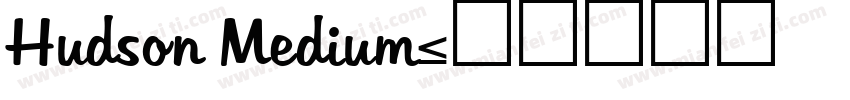 Hudson Medium字体转换